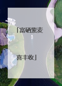 富硒紫麦喜丰收