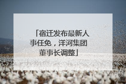 宿迁发布最新人事任免，洋河集团董事长调整