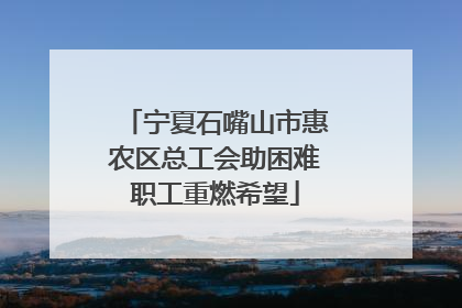 宁夏石嘴山市惠农区总工会助困难职工重燃希望
