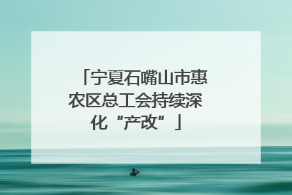 宁夏石嘴山市惠农区总工会持续深化“产改”