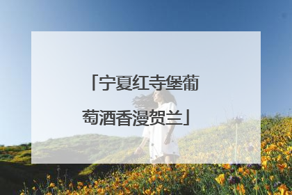 宁夏红寺堡葡萄酒香漫贺兰