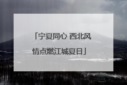 宁夏同心 西北风情点燃江城夏日