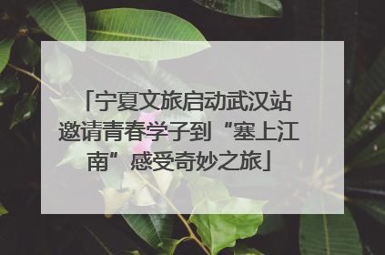 宁夏文旅启动武汉站 邀请青春学子到“塞上江南”感受奇妙之旅