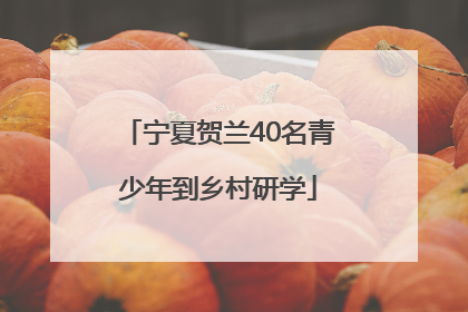宁夏贺兰40名青少年到乡村研学