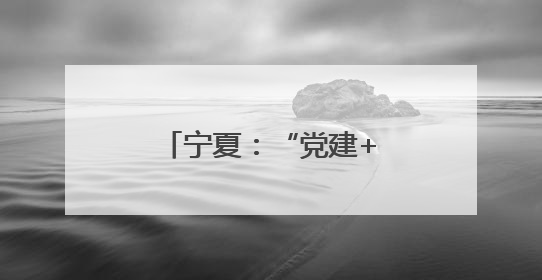宁夏：“党建+科特派”架起服务乡村连心桥