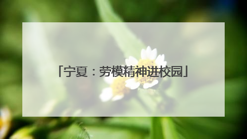 宁夏：劳模精神进校园