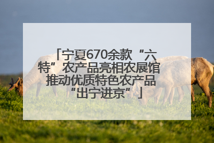 宁夏670余款“六特”农产品亮相农展馆 推动优质特色农产品“出宁进京”