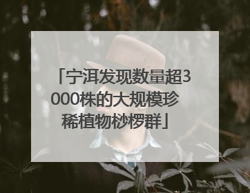宁洱发现数量超3000株的大规模珍稀植物桫椤群