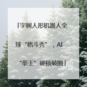 宇树人形机器人全球“格斗秀”，AI“拳王”硬核破圈