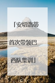 安切洛蒂首次带领巴西队集训