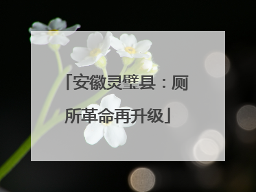 安徽灵璧县：厕所革命再升级
