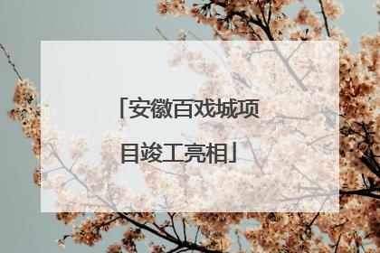 安徽百戏城项目竣工亮相