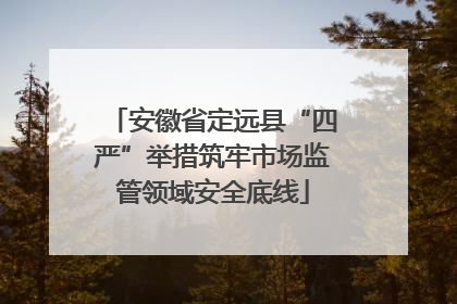 安徽省定远县“四严”举措筑牢市场监管领域安全底线