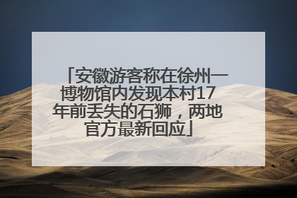 安徽游客称在徐州一博物馆内发现本村17年前丢失的石狮，两地官方最新回应