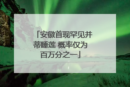 安徽首现罕见并蒂睡莲 概率仅为百万分之一