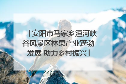 安阳市马家乡洹河峡谷风景区林果产业蓬勃发展 助力乡村振兴
