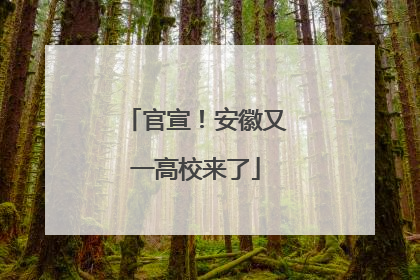 官宣！安徽又一高校来了
