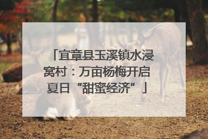 宜章县玉溪镇水浸窝村：万亩杨梅开启夏日“甜蜜经济”
