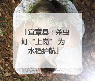 宜章县：杀虫灯“上岗” 为水稻护航