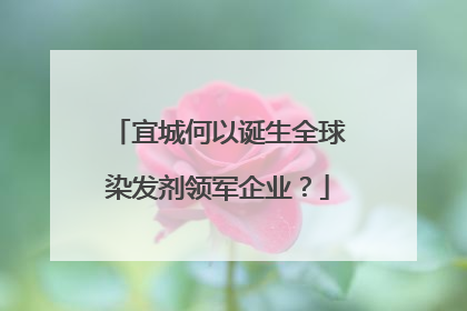 宜城何以诞生全球染发剂领军企业？