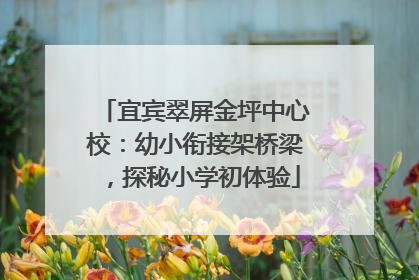 宜宾翠屏金坪中心校：幼小衔接架桥梁，探秘小学初体验