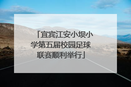 宜宾江安小坝小学第五届校园足球联赛顺利举行