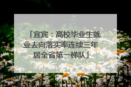 宜宾：高校毕业生就业去向落实率连续三年居全省第一梯队