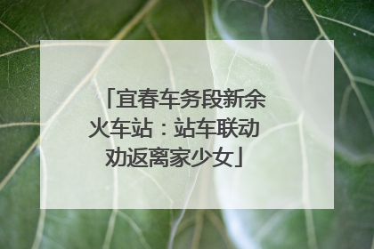 宜春车务段新余火车站：站车联动劝返离家少女