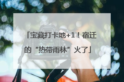 宝藏打卡地+1！宿迁的“热带雨林”火了