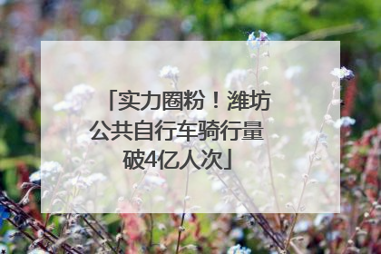实力圈粉！潍坊公共自行车骑行量破4亿人次