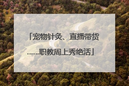宠物针灸、直播带货……职教周上秀绝活