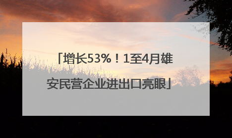 增长53%！1至4月雄安民营企业进出口亮眼