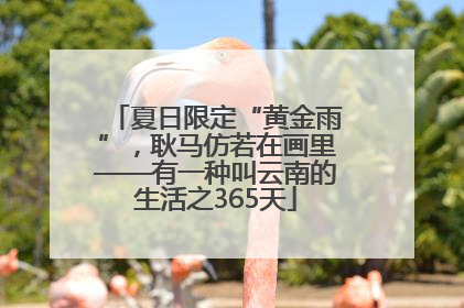 夏日限定“黄金雨”，耿马仿若在画里——有一种叫云南的生活之365天