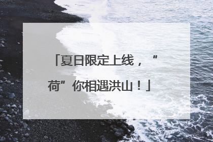 夏日限定上线，“荷”你相遇洪山！