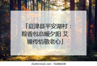 夏津县平安湖村：粽香包意暖夕阳 艾锤传情敬老心