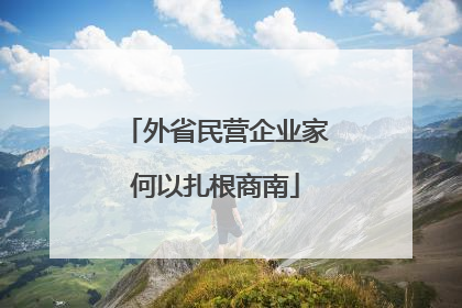 外省民营企业家何以扎根商南