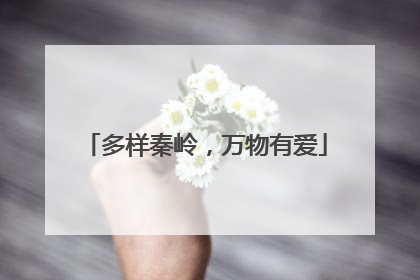 多样秦岭，万物有爱