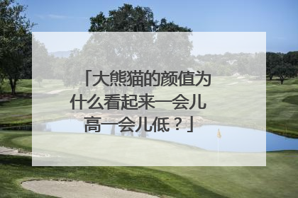 大熊猫的颜值为什么看起来一会儿高一会儿低？