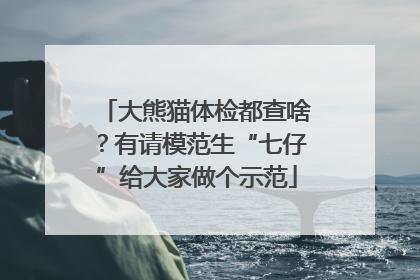 大熊猫体检都查啥？有请模范生“七仔”给大家做个示范
