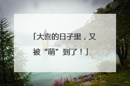 大喜的日子里，又被“萌”到了！