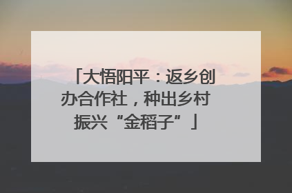 大悟阳平：返乡创办合作社，种出乡村振兴“金稻子”