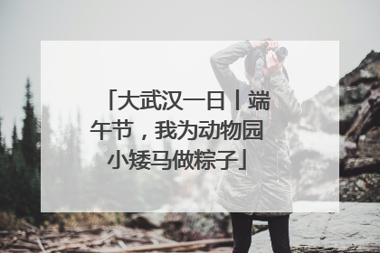 大武汉一日丨端午节，我为动物园小矮马做粽子