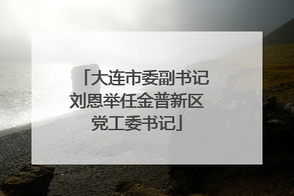 大连市委副书记刘恩举任金普新区党工委书记