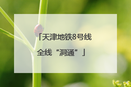 天津地铁8号线全线“洞通”
