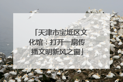 天津市宝坻区文化馆：打开一扇传播文明新风之窗