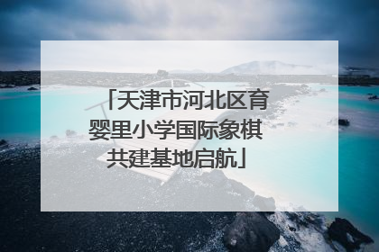 天津市河北区育婴里小学国际象棋共建基地启航