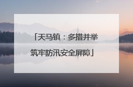 天马镇：多措并举筑牢防汛安全屏障