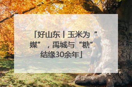 好山东丨玉米为“媒”，禹城与“糖”结缘30余年