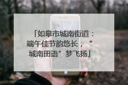 如皋市城南街道：端午佳节韵悠长，“城南田语”梦飞扬