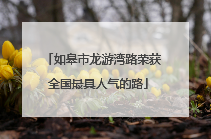 如皋市龙游湾路荣获全国最具人气的路